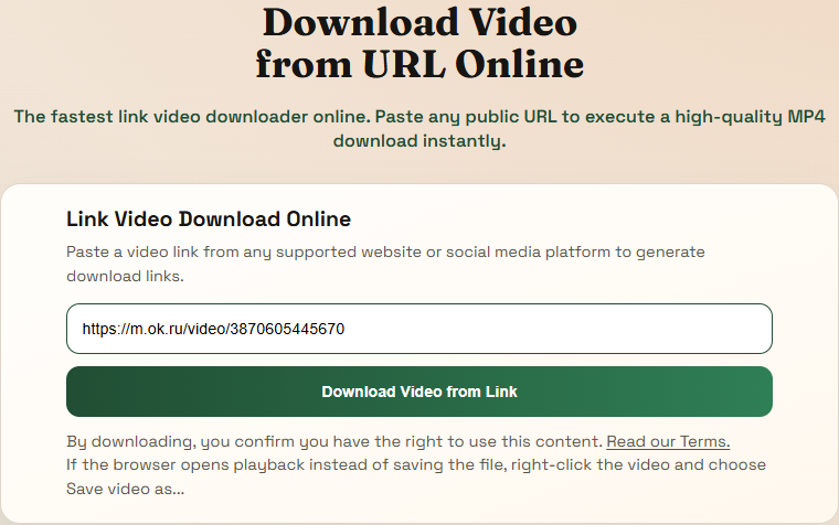 Homepage downloader with a real supported video URL pasted into the input field.