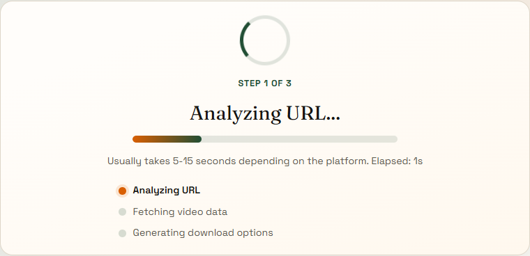 Analyze page showing the live loading workflow with step progress.